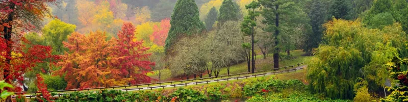 Adelaide Hills landscape in autumn
