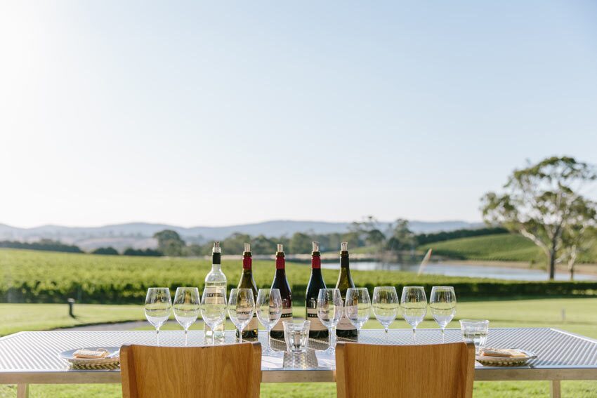 Wine flight for two overlooking the landscape of Shaw + Smith vineyards