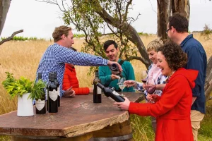 Guests sampling Hutton Vale Farm vine in the vineyard