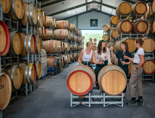 shottesbrooke wines mclaren vale barrel tasting Guests sampling wine from the barrel at Shottesbrooke Wines