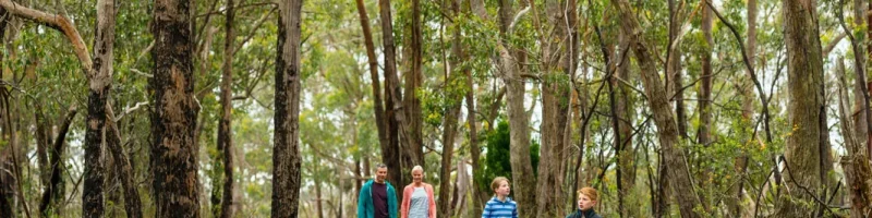 Family of four walking on a path through eucalypt forest in the Adelaide Hills