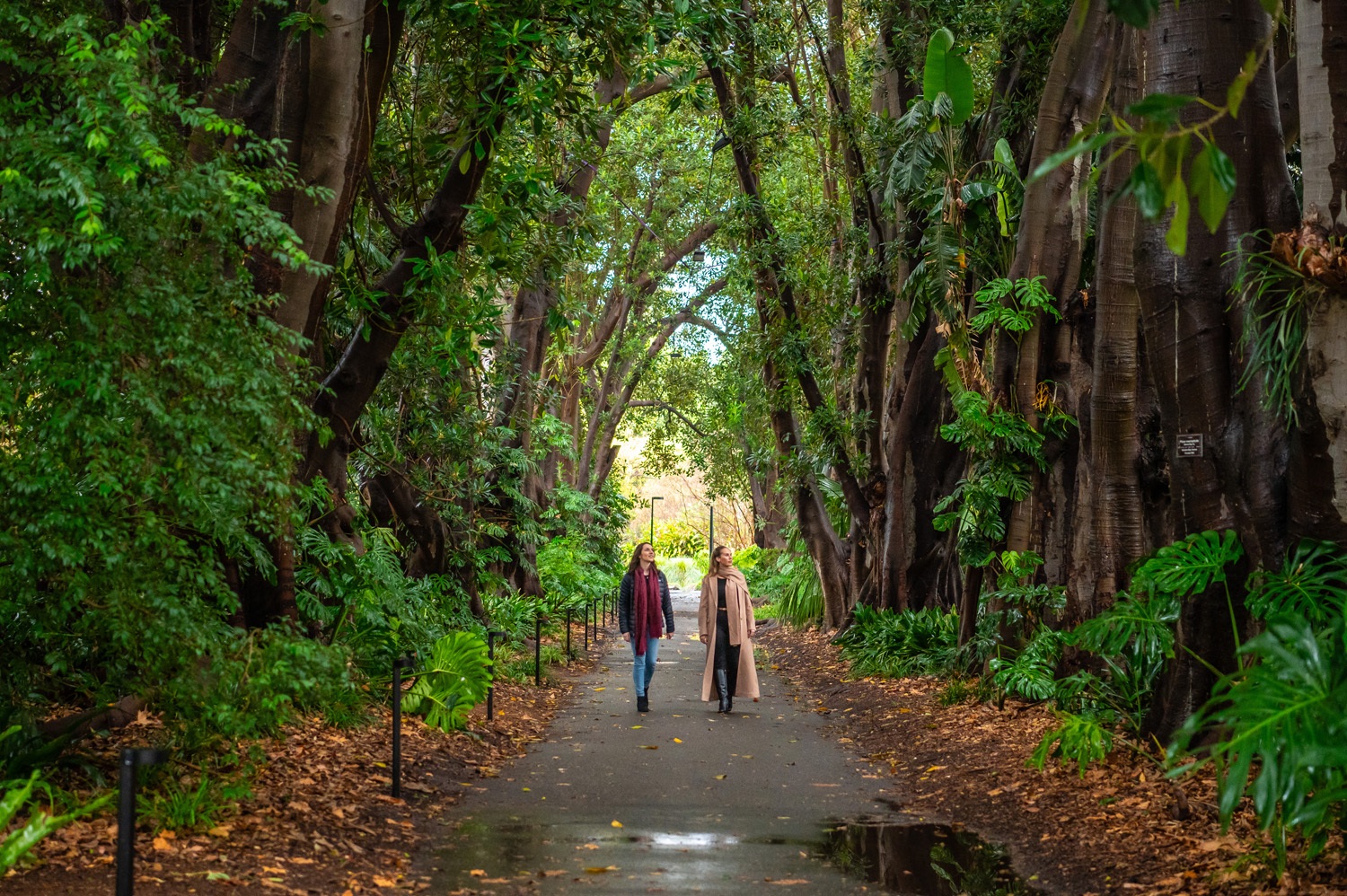 Photo: John Krüger
Botanic Gardens, Adelaide