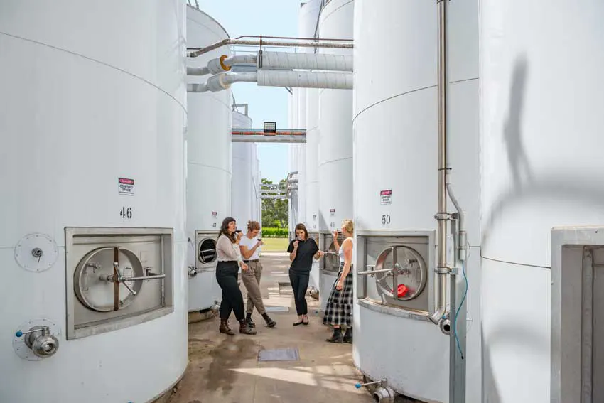 Guests standing amongst silos sampling Shottesbrooke wines